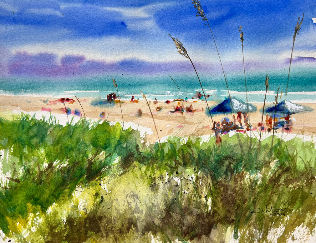 Beach view at Ponce Inlet, Winterhaven Park