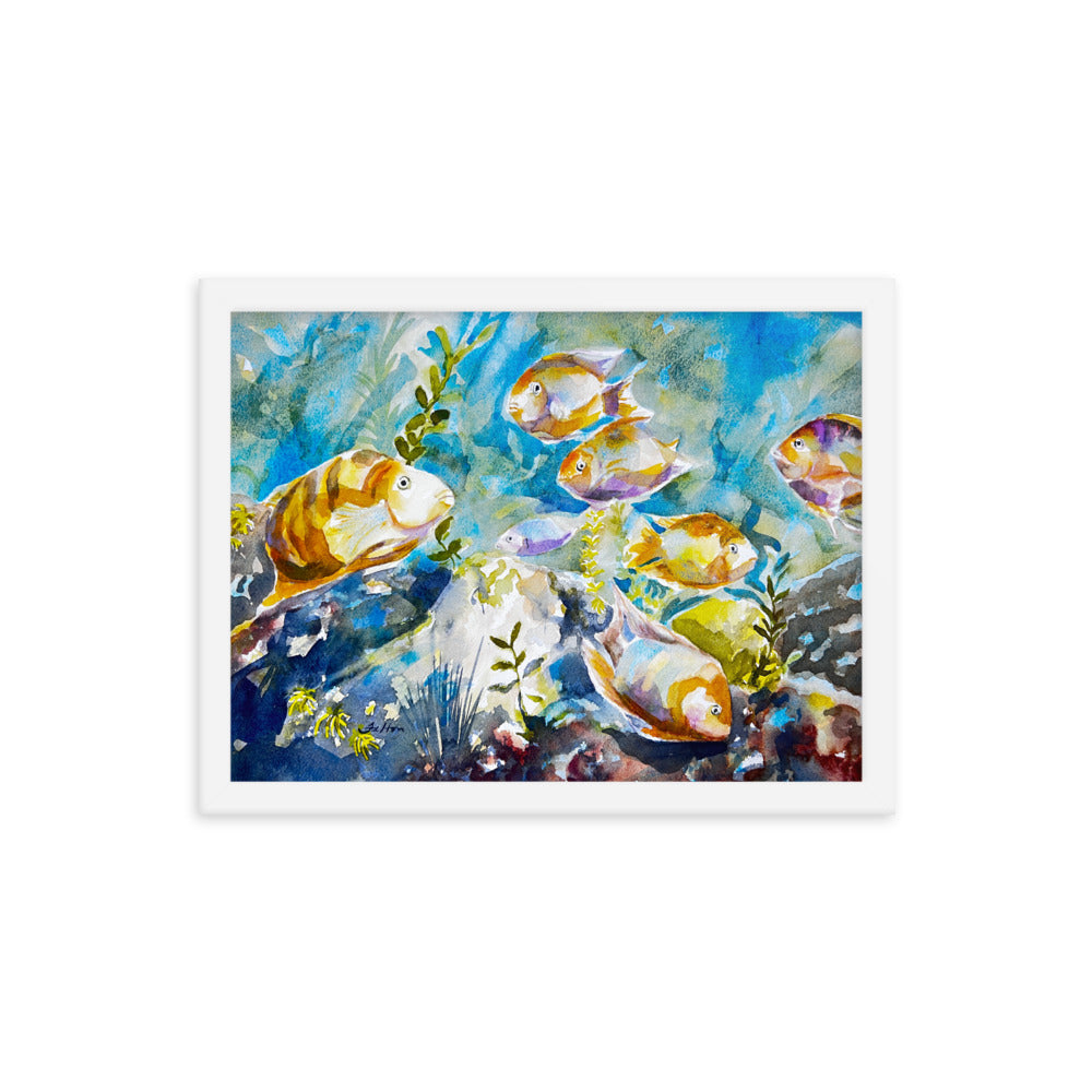 Tropial fish framed watercolor print